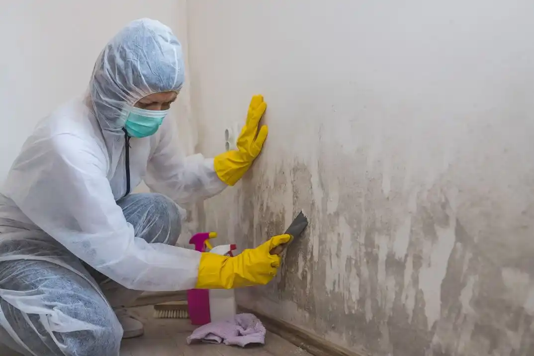 water damage restoration service Highland Meadows